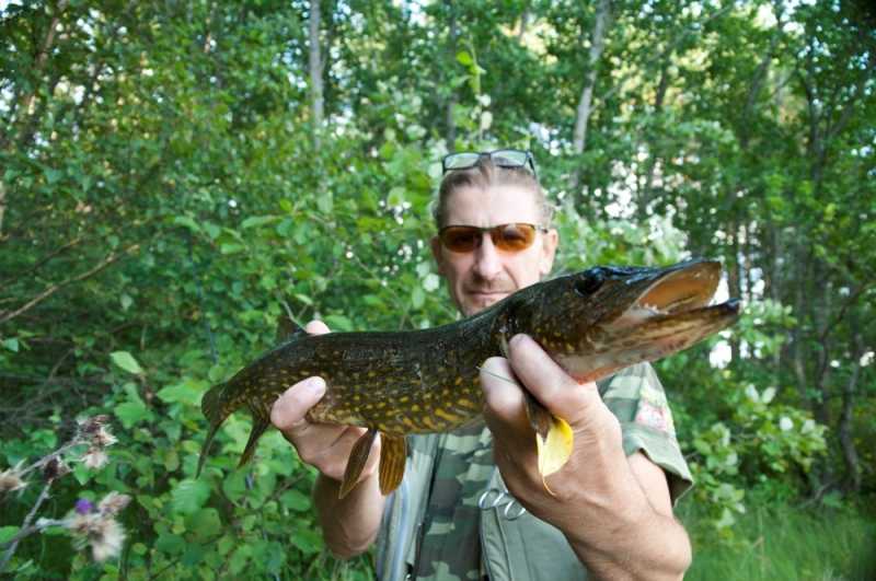 wędkarstwo w norwegii